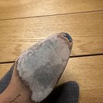 Salvatore Ferragamo Salvadore ferragamo gray suede pumps 8 Photo 7