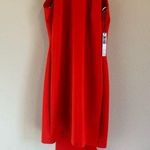 NWT Issue New York Bow Neck Back Tie Shift Dress Style 11785 Size L Elegant Red Size L Photo 0