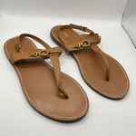 ZARA  FLAT LEATHER SANDAL WITH BUCKLE BROWN WOMENS SIZE 38‎ US SIZE 7 Photo 1