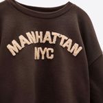 ZARA Brown Manhattan NYC Cropped Sweater Photo 4