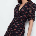 ZARA  sheer black floral red roses ruched small ruffle cocktail party Dress Photo 0