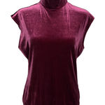The Limited  Velvet Mock Neck Sleeveless Top L Burgundy Y2K Whimsigoth Chic Holiday Photo 0