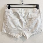 American Eagle  Shorts Womens 8 White Hi Rise Shortie‎ Cut Off Distressed Floral Photo 3