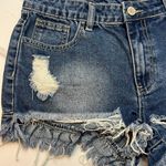 Litz Frayed Distressed Denim Shorts Photo 3