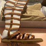 Wild Pair NIB  9 Brown tall gladiator sandals Photo 2