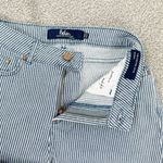 Boden Soho Cropped Skinny Railroad‎ Stipe Crop Jeans Blue White 2P Photo 6