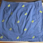 Vineyard Vines Women’s Lime Embroidered Fully Lined Skirt Photo 4