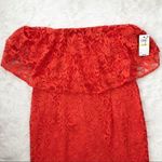 Thalia Sodi ‎ Strapless Lace Cocktail Dress Midi Fitted Popover Orange Medium New Photo 4