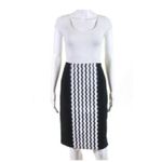 Opening Ceremony Pencil Skirt 2 Graphic Wave Crepe Illusion New York Fashion Photo 2