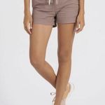Vuori  Ripstop Shorts in Hazel Photo 4