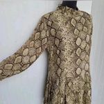 ZARA  the Andrea dress snake print long sleeve tear mini dress Photo 0