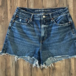 American Eagle   Highest Rise 90s Boyfriend Shorts Size 12 Photo 0