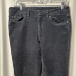 Patagonia Dark Grey Women's Corduroy Pants Size 30/10 Photo 1
