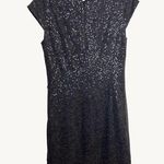 The Limited  Medium Sparkle Sheath Dress Longer Mini Scoop Neck Photo 0