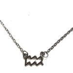 Aquarius Horoscope Sign Charm Pendant Necklace Silver Photo 1