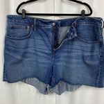 Madewell The Curvy Perfect Vintage Short Sz.22W Photo 6