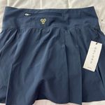 Aritzia Skirt Photo 1