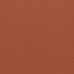 SKIMS Bronze  Brief Bodysuit XL Photo 2