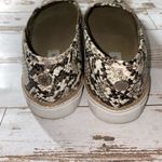 Steve Madden  | Shoes Photo 2