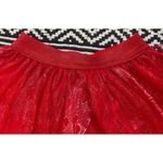 Spirit Halloween  Red Devil Flame Tutu  Photo 8