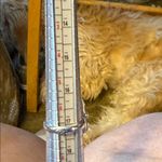 Elegant 925 Sterling Silver and Amethyst Ring Blue Photo 3