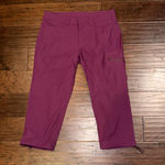 Eddie Bauer  Purple Cargo Pants 6 Photo 0