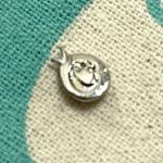 Origami Owl Living Lockets Retired Ladybug Floating Charm Photo 1
