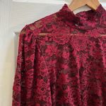 Jolie & Joy Burgundy Sheer Lace Mock Neck Blouse Size 1X Dark Romance Whimsigoth Red Photo 7