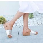 Beek Pelican Platform Sandals Slides Size 7 in Platinum Silver Photo 0