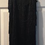 Dreamgirl Flapper Dress / Costume Photo 0
