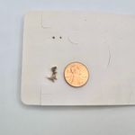 Dinosaur Rose Gold Stud Earrings Photo 2