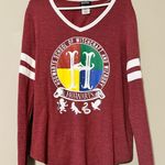 Harry Potter  Hogwarts sz 19 long sleeve vneck t-shirt round hem athletic stripes Photo 8