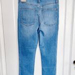 Madewell  • Roadtripper Crop Jeans in Iberia Wash skinny ankle cropped slim Photo 9