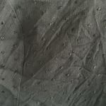 Dippin' Daisy's Dippin’ Daisy’s Georgia Long Sleeve Loose Crop‎ Top Photo 5