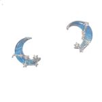 Blue Starry Sky Polar Star Moon Temperament Earrings Versatile Clear Sea Salt Sweet Earrings Exquisite Light Luxury Earrings for Women Photo 6