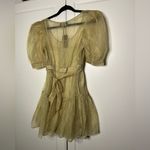 Danielle Bernstein NWT  Sheer Organza Puff Sleeve Mini Photo 8