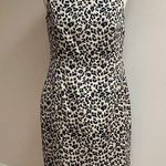 P&Co 9 & . Sleeveless Animal Print Dress Photo 0