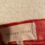 Gilded Intent  Orange Belted Denim Shorts Photo 2