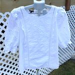 Talbots Pretty dressy blouse💜 Photo 0