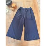 The North Face Pleated Navy Blue Cargo Pants Womens Size 4 Photo 0