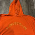Boys Lie  1-800-BOYS-LIE Hoodie Photo 3