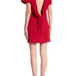 IRO  Hilda Short Sleeve V Back Mini Sheath Dress Photo 1