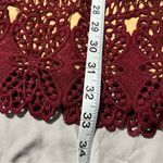 Lulus Lulu’s Adara Burgundy Crochet Lace Mini Dress Size Small Photo 11