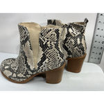 Torrid Womans Ankle Boots 8.5 W Snake Print Side Zip Block Heel Stretch At Ankle Photo 3