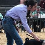 Port Authority Lavender long sleeve Photo 7