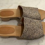 Madewell The Evelyn Slide Wood Clog Slides in Spotted Calf Hair New Size 6.5 Photo 6