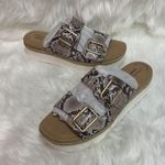 Clarks Lana Beach Platform Snake Print Sandal Size 9.5 BIN 19 Photo 5