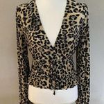 ZARA Pleated Leopard Print V-neck Faux Wrap Crop Top Long Sleeve Blouse, Small Photo 0