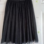 Forever 21  Tulle Skirt Photo 1