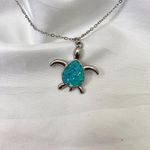 Cute Silver Teal Turtle Pendant Necklace Photo 1
